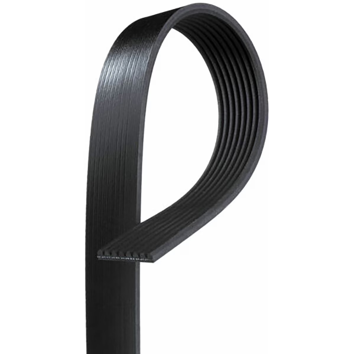 VMP 8 Rib belt for 2020 GT500