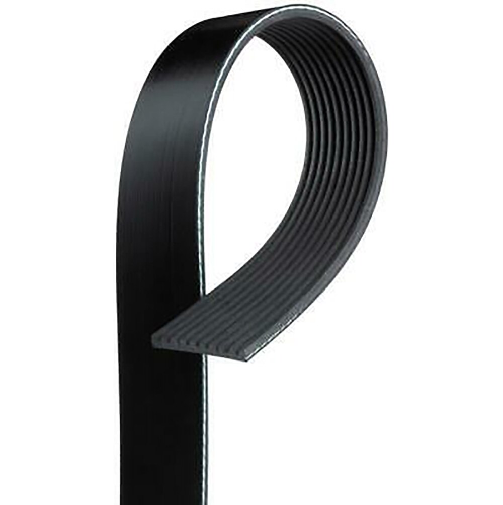 Belt for '07-14 GT500 with 15% OD Lower Belt for '07-14 GT500 with 15% OD Lower