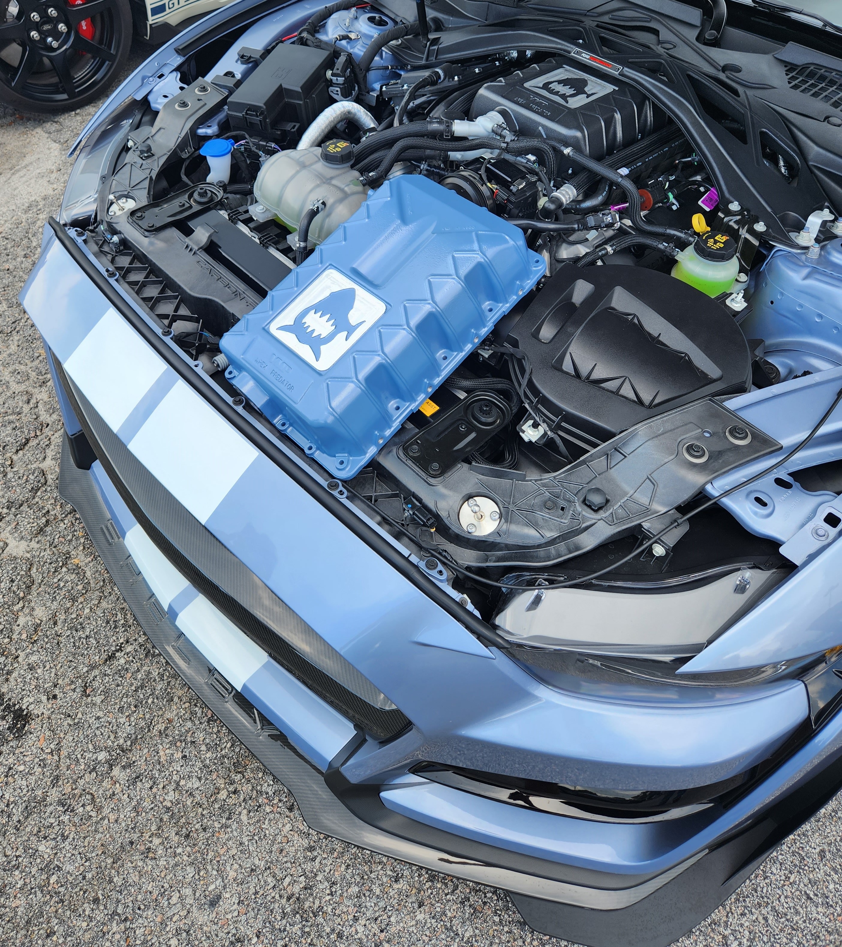 VMP Apex Predator Supercharger Lid - Custom Powdercoat Color - '20